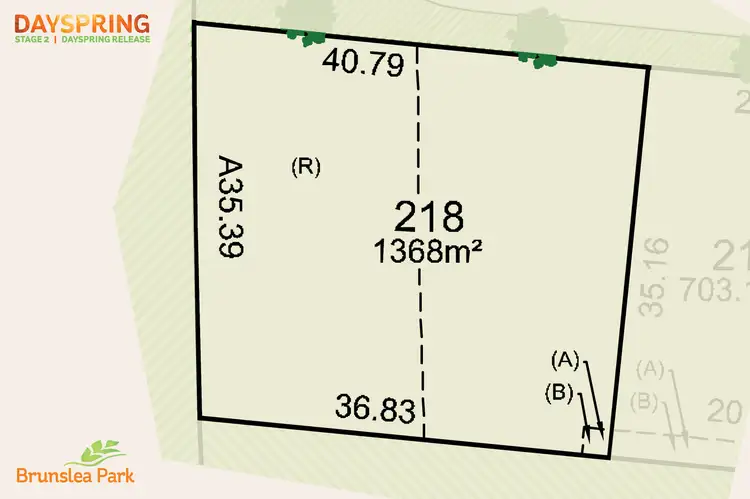 LOT 218 Cnr Blackwood Circuit & Silkwood Street, Forest Hill NSW 2651