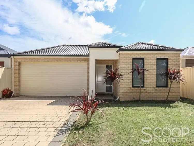 Main view of Homely house listing, 24A Terrigal Way, Armadale WA 6112