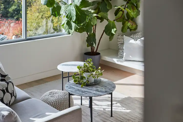 Third view of Homely apartment listing, A504/810 Elizabeth Street, Waterloo NSW 2017