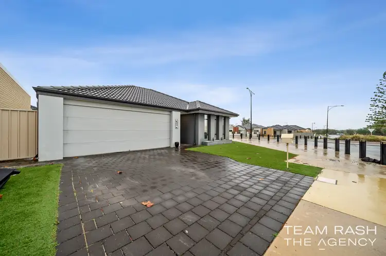 Main view of Homely house listing, 113 Shepperton Drive, Butler WA 6036