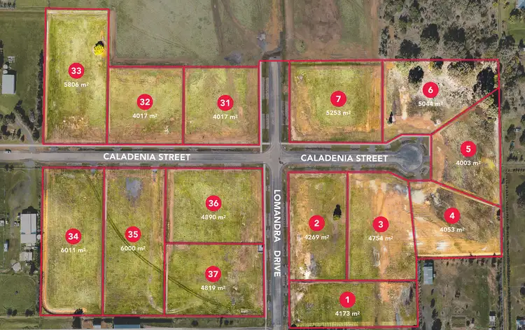 Second view of Homely land listing, 93 Lomandra Drive, Teesdale VIC 3328