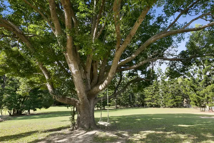 664 Currumbin Creek Road, Currumbin Valley QLD 4223