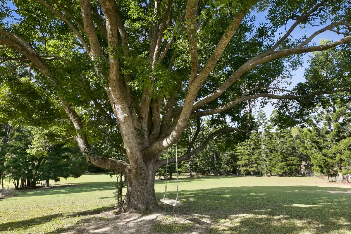 Main view of Homely house listing, 664 Currumbin Creek Road, Currumbin Valley QLD 4223