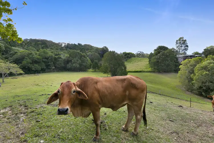 Sixth view of Homely house listing, 664 Currumbin Creek Road, Currumbin Valley QLD 4223