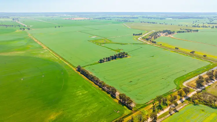Main view of Homely rural property listing, 299 Sherwins Road, Berrigan NSW 2712