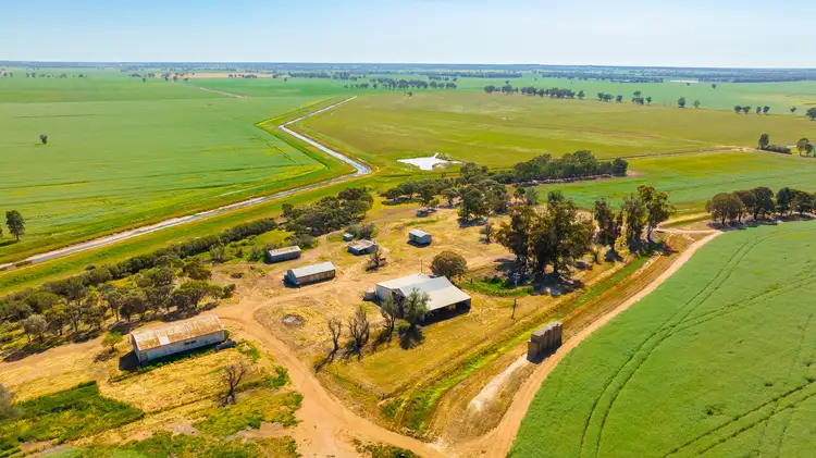 Second view of Homely rural property listing, 299 Sherwins Road, Berrigan NSW 2712