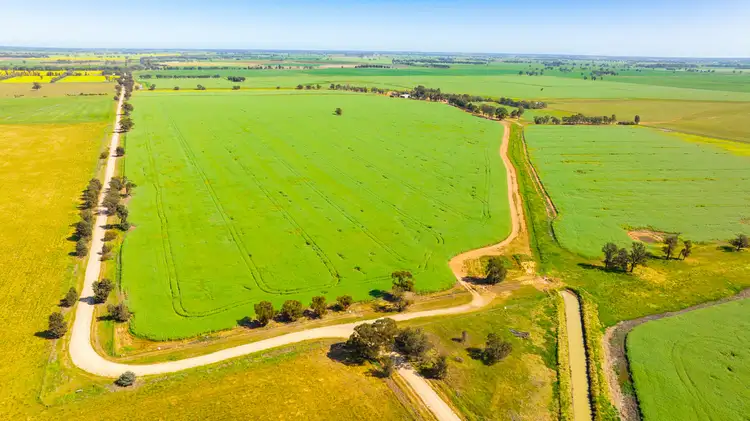 Third view of Homely rural property listing, 299 Sherwins Road, Berrigan NSW 2712
