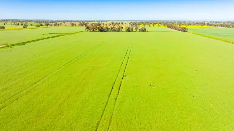 Fourth view of Homely rural property listing, 299 Sherwins Road, Berrigan NSW 2712