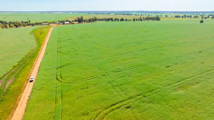 Sixth view of Homely rural property listing, 299 Sherwins Road, Berrigan NSW 2712