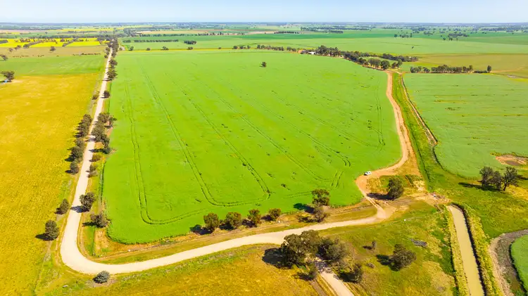 Seventh view of Homely rural property listing, 299 Sherwins Road, Berrigan NSW 2712