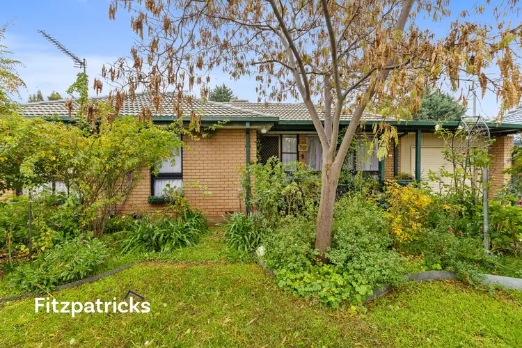 40 Adjin Street, Mount Austin NSW 2650