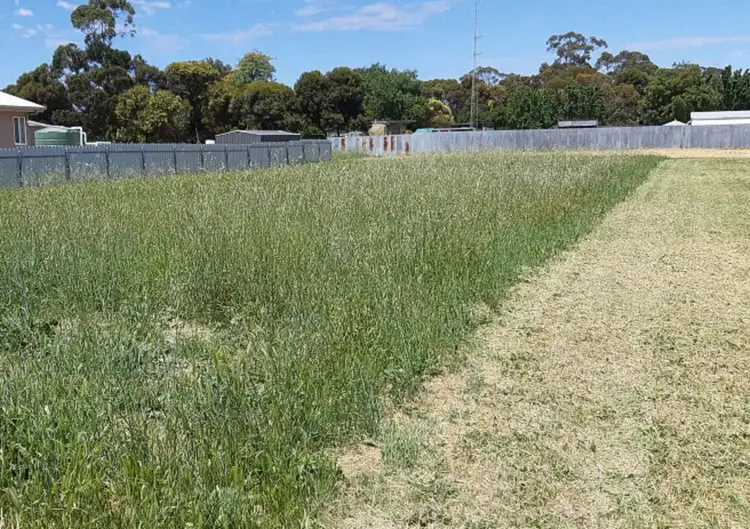 Fifth view of Homely land listing, 45 Densley Avenue, Bordertown SA 5268