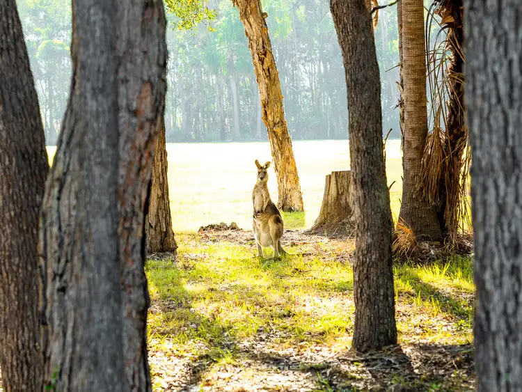 Fifth view of Homely land listing, LOT 23, 23 Great Knot Place, Boonooroo QLD 4650