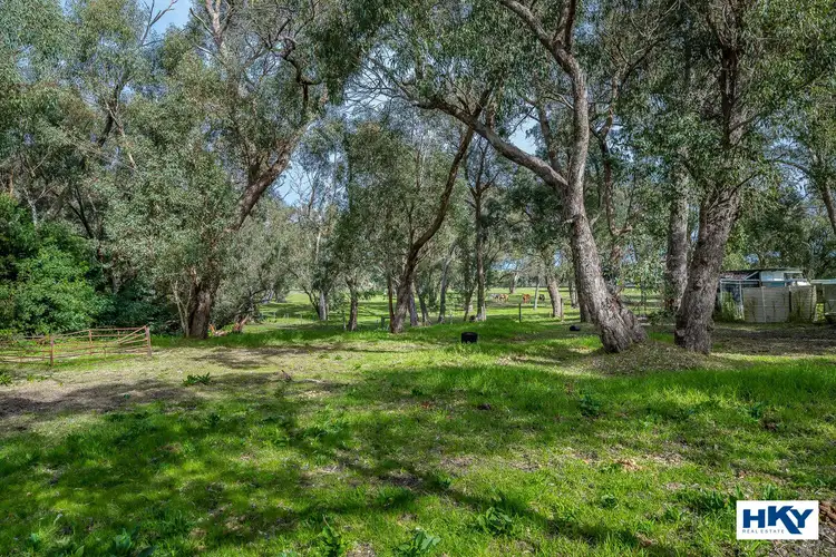 Second view of Homely house listing, 53 Steed Court, Bullsbrook WA 6084