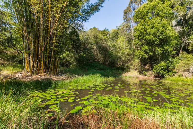 Fourth view of Homely house listing, 502 Pomona Kin Kin Road, Pinbarren QLD 4568