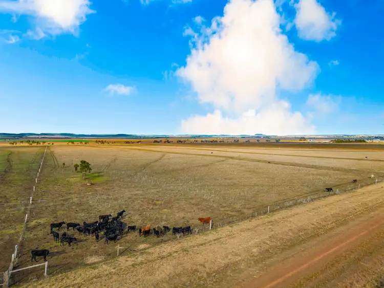 Third view of Homely rural property listing, LOT 20 Rickert Road, Kings Creek QLD 4361