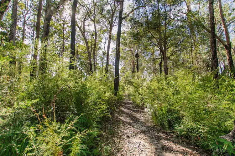 Fifth view of Homely house listing, 27 Whipbird Drive, Ashby NSW 2463