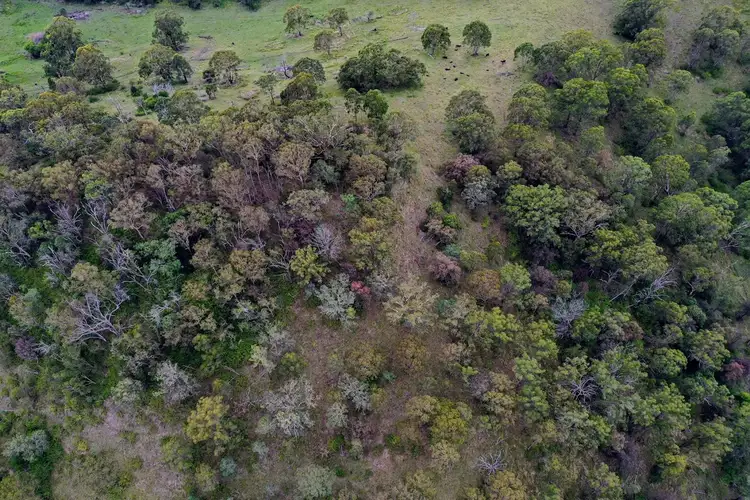 Sixth view of Homely land listing, LOT 2 Ravensbourne Dip Road, Ravensbourne QLD 4352