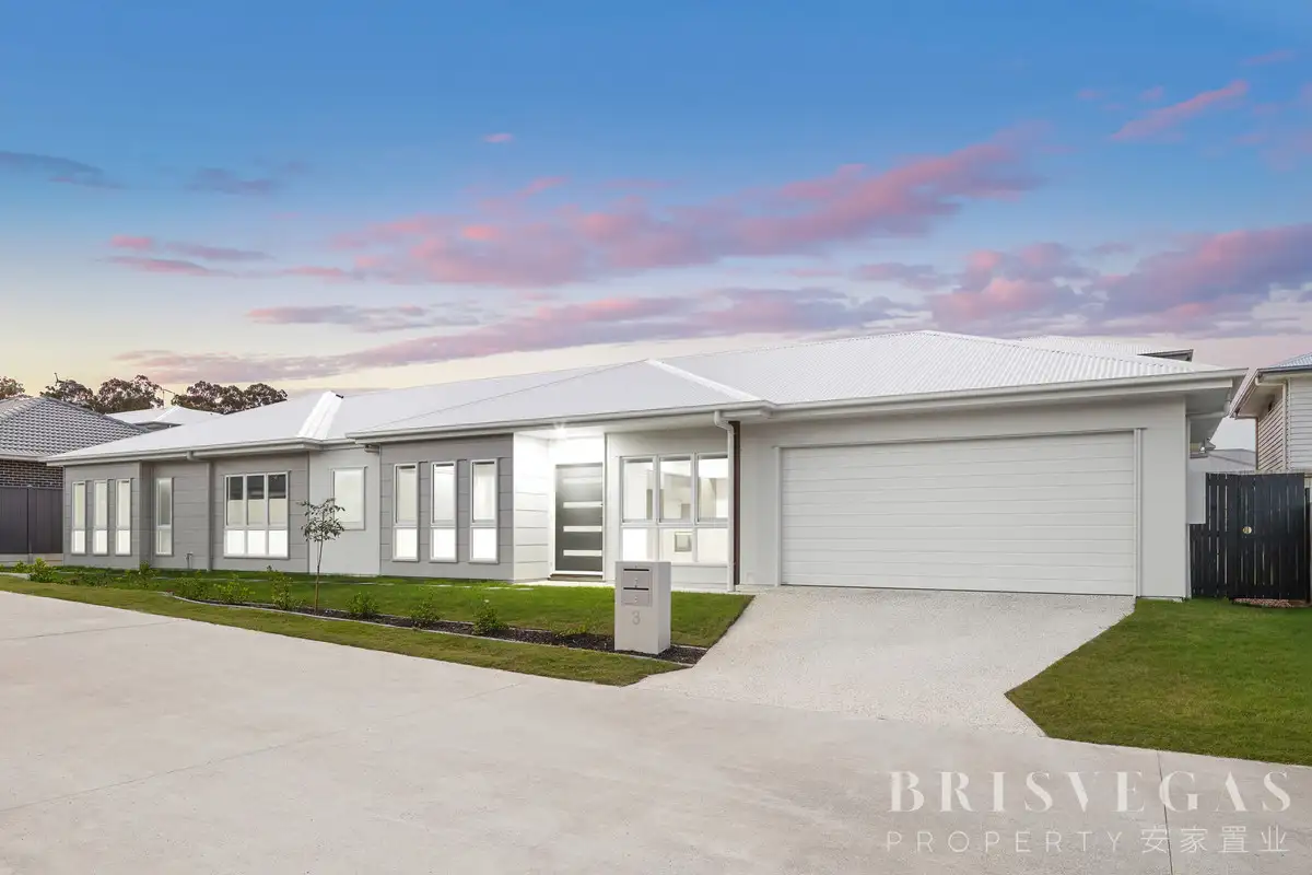 Main view of Homely house listing, 3/149 Peverell Street, Hillcrest QLD 4118