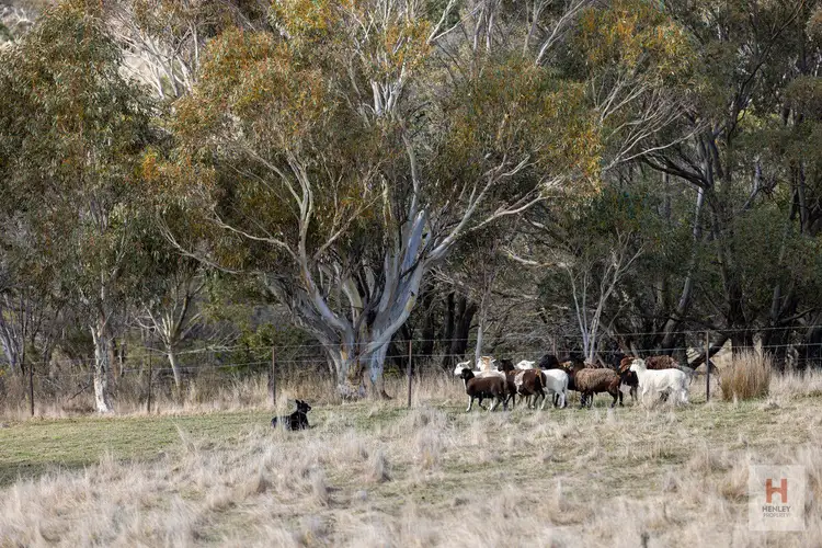 Fourth view of Homely rural property listing, 2423 Barry Way, Jindabyne NSW 2627