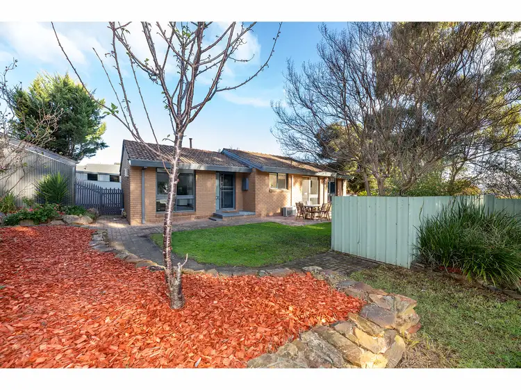 Main view of Homely house listing, 19 Baranbale Way, Springdale Heights NSW 2641