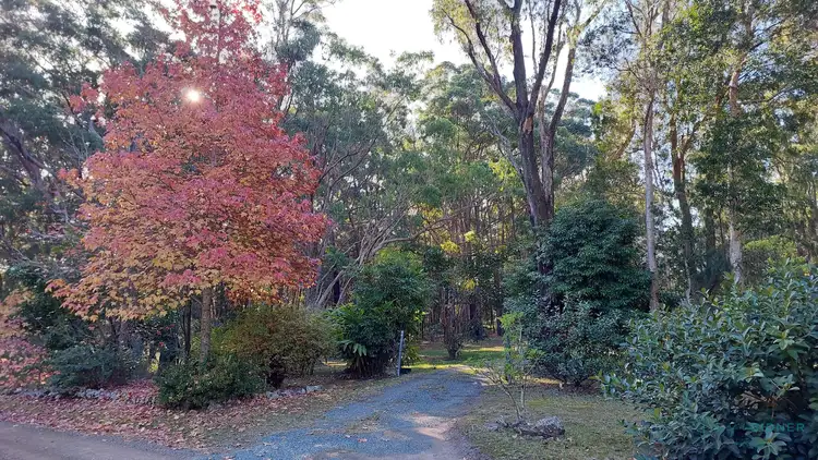 Third view of Homely rural property listing, 21 Kookie Avenue, Charlotte Bay NSW 2428