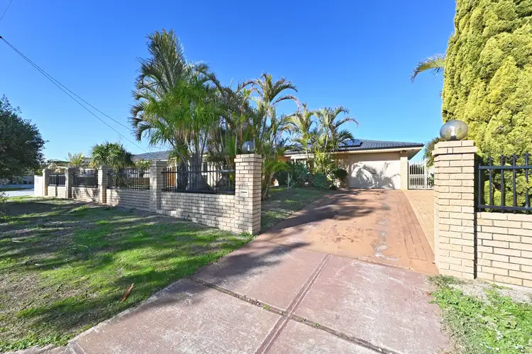 Main view of Homely house listing, 142 Jones Street, Stirling WA 6021
