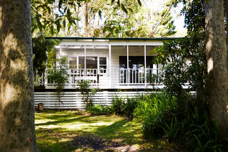 Main view of Homely house listing, 8 Shearwater Crescent, Bawley Point NSW 2539