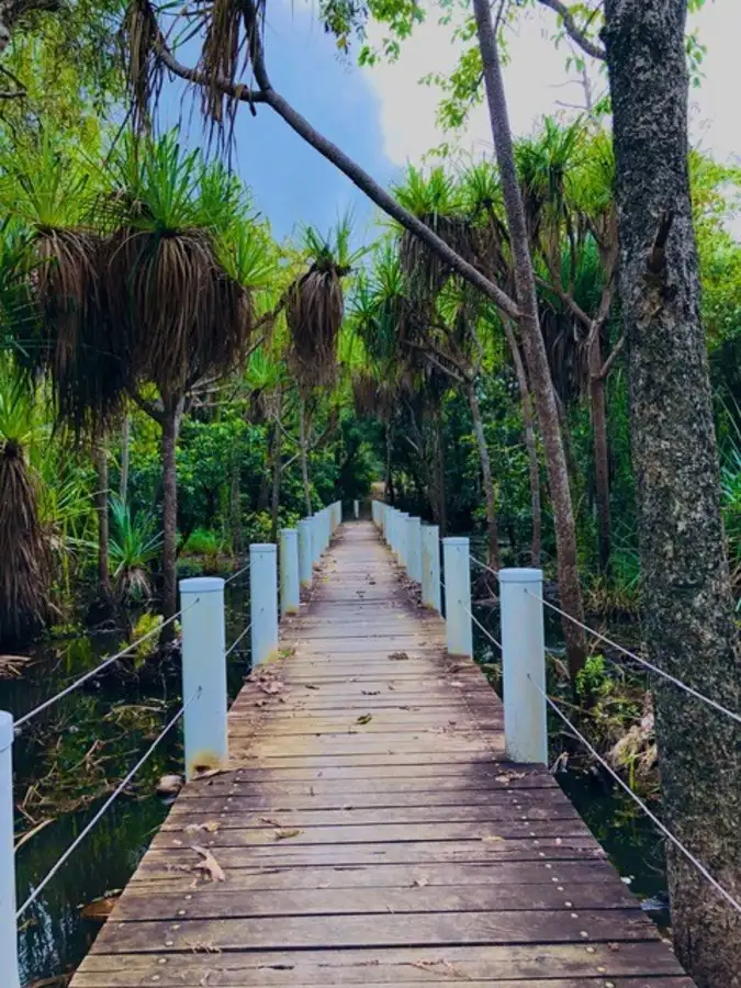 Sixth view of Homely land listing, 15 Chestnut Street, Forrest Beach QLD 4850