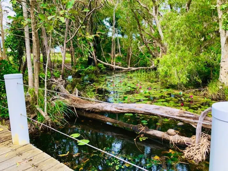 Seventh view of Homely land listing, 15 Chestnut Street, Forrest Beach QLD 4850