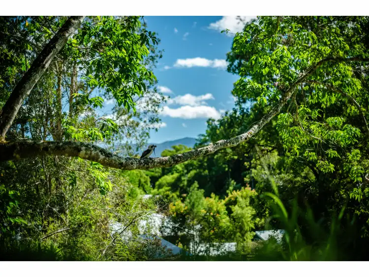 Sixth view of Homely land listing, Lot 3/2 Evans Street, Bellingen NSW 2454