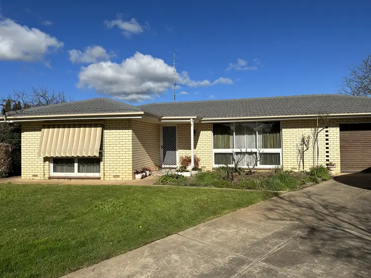 18 Webb Street, Clare SA 5453