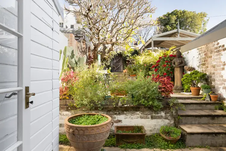 Fifth view of Homely terrace listing, 31 Windsor Street, Paddington NSW 2021