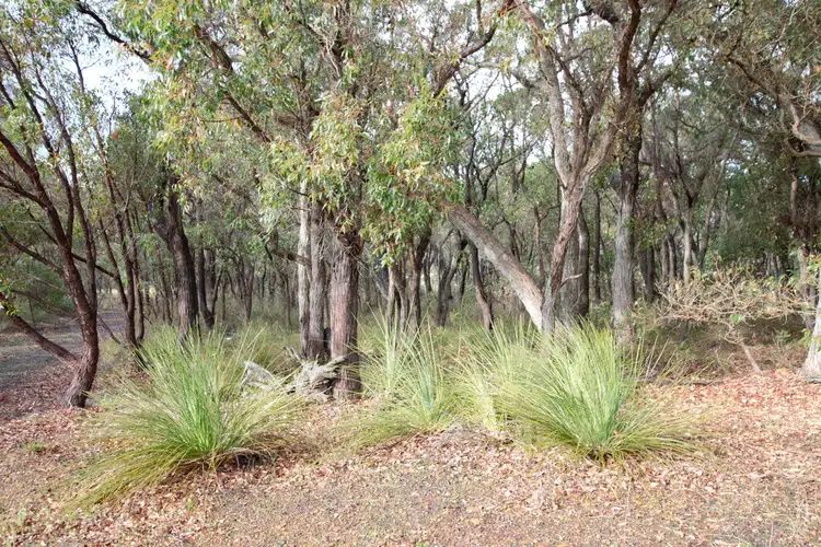 Seventh view of Homely land listing, 127 Braidwood Road, Mount Barker WA 6324