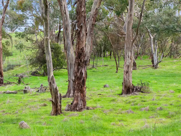 Fourth view of Homely land listing, 2 Jenner Road, Sevenhill SA 5453