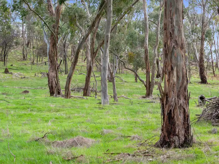 Seventh view of Homely land listing, 2 Jenner Road, Sevenhill SA 5453