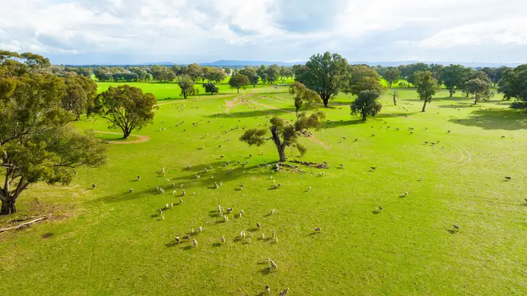 Seventh view of Homely rural property listing, River Road, Tarrawingee VIC 3678