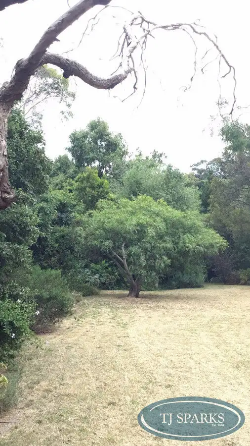 Fifth view of Homely house listing, 47 KOETONG Parade, Mount Eliza VIC 3930