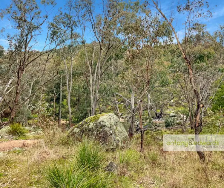 Fourth view of Homely rural property listing, 980 Grabine Road, Bigga NSW 2583