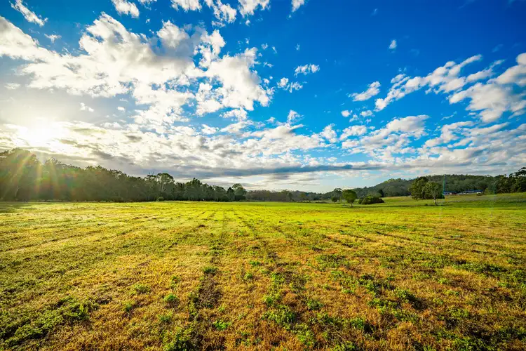 Fourth view of Homely rural property listing, 822 Gilston Road, Gilston QLD 4211