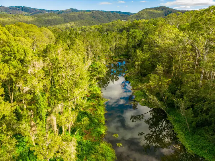 Fifth view of Homely rural property listing, 822 Gilston Road, Gilston QLD 4211