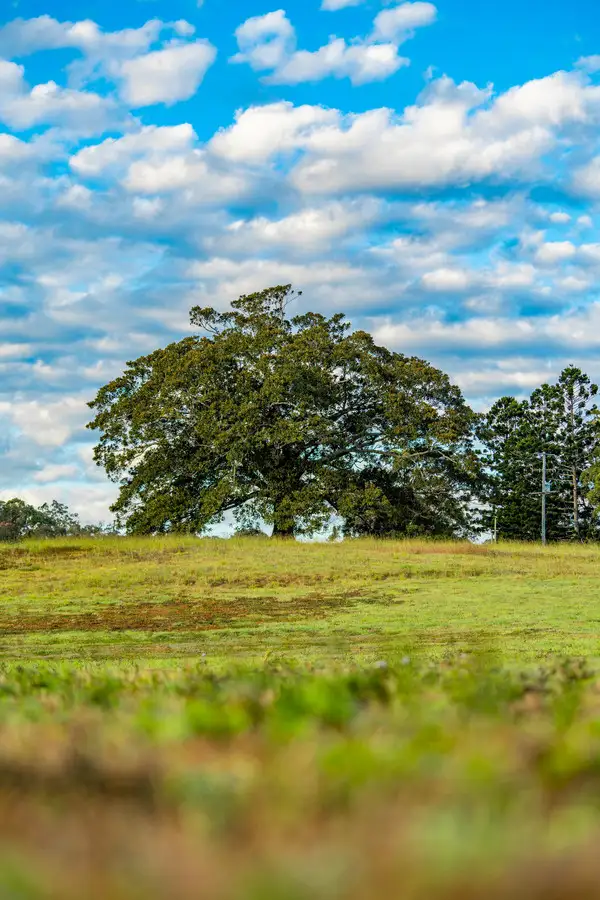 Sixth view of Homely rural property listing, 822 Gilston Road, Gilston QLD 4211