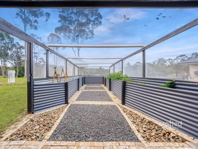 Fifth view of Homely rural property listing, 44 Parrot Street, Greenbank QLD 4124