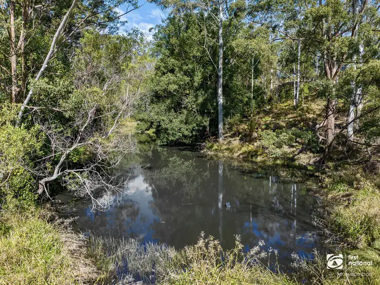 Third view of Homely house listing, 20 Mount Burrell Road, Mount Burrell NSW 2484