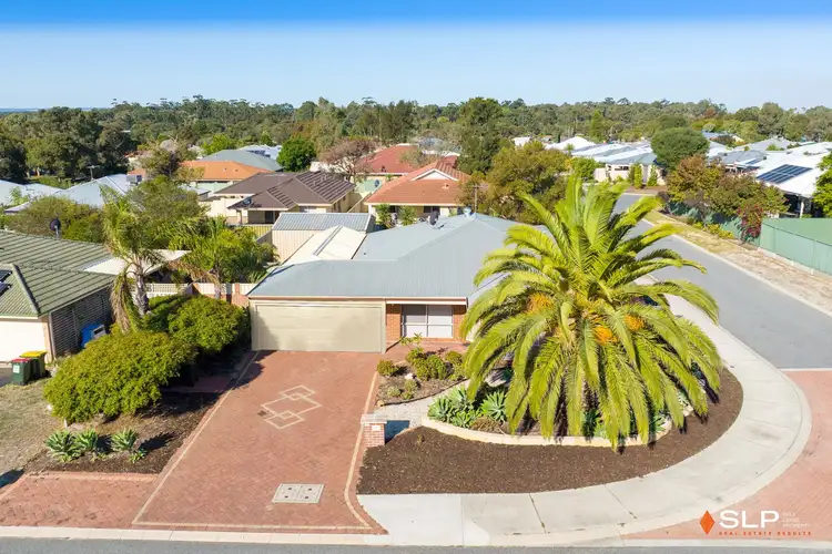 55 Celadon Loop, Banksia Grove WA 6031