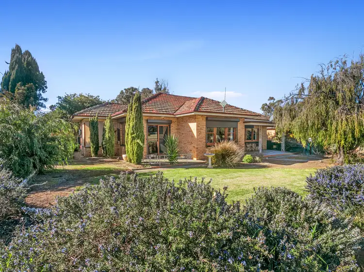Main view of Homely house listing, 16 Fifth Street, Koolunga SA 5464