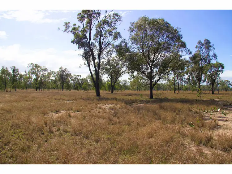 216 Lion Mountain Road, Alton Downs QLD 4702