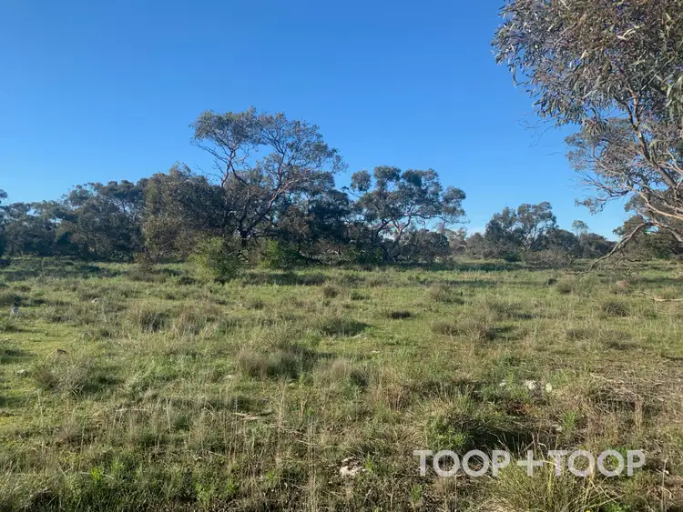 LOT 25 Kulde Road, Tailem Bend SA 5260