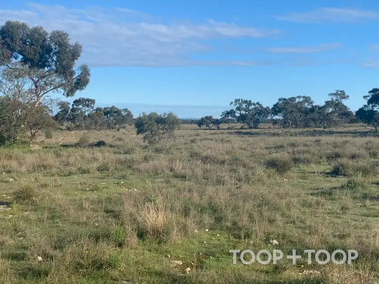Third view of Homely rural property listing, LOT 25 Kulde Road, Tailem Bend SA 5260