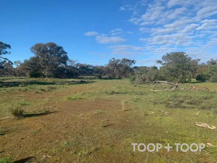 Fourth view of Homely rural property listing, LOT 25 Kulde Road, Tailem Bend SA 5260